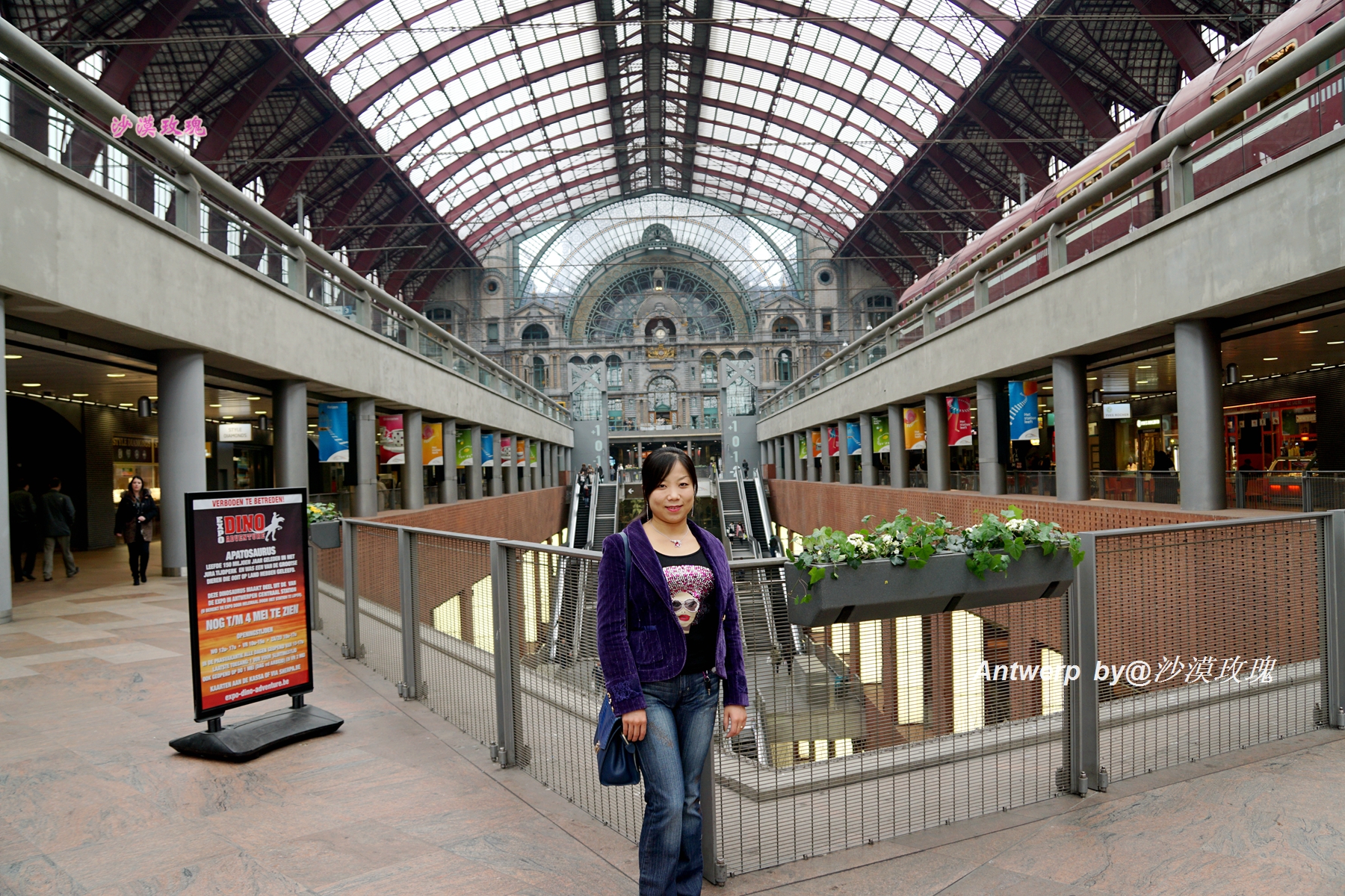 阿尔卑斯山设计,阿尔卑斯山旅游策划案例