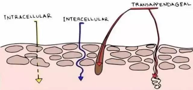 孕期护肤视频,孕期护肤言安堂