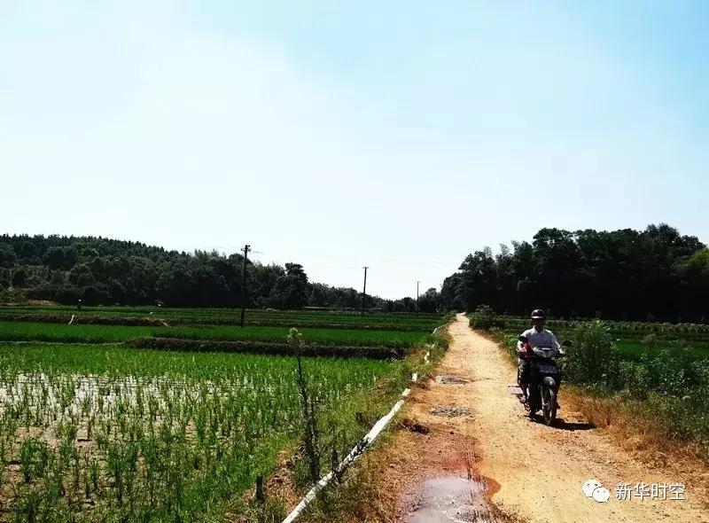 蒋家嘴西洞庭自然保护区,蒋家嘴镇规划