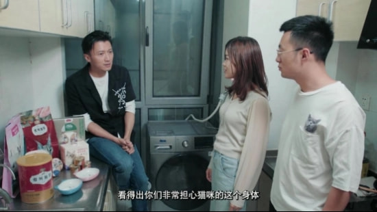 王菲谢霆锋新消息,王菲谢霆锋近日网评