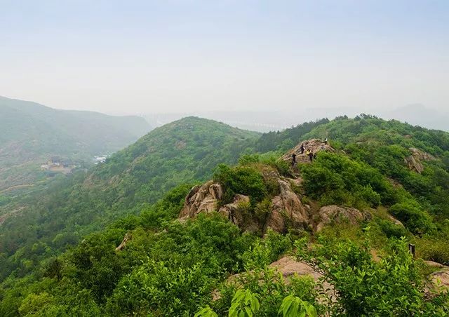 苏州的碧螺春,苏州碧螺春明前茶多少钱一斤