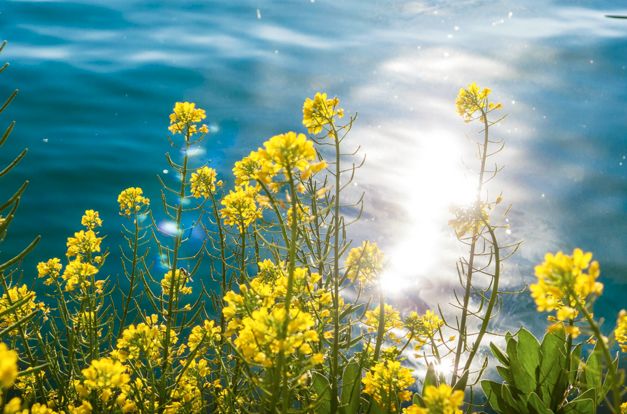 等一个人陪我去大理旅行,如果生活不如意不如一起去大理