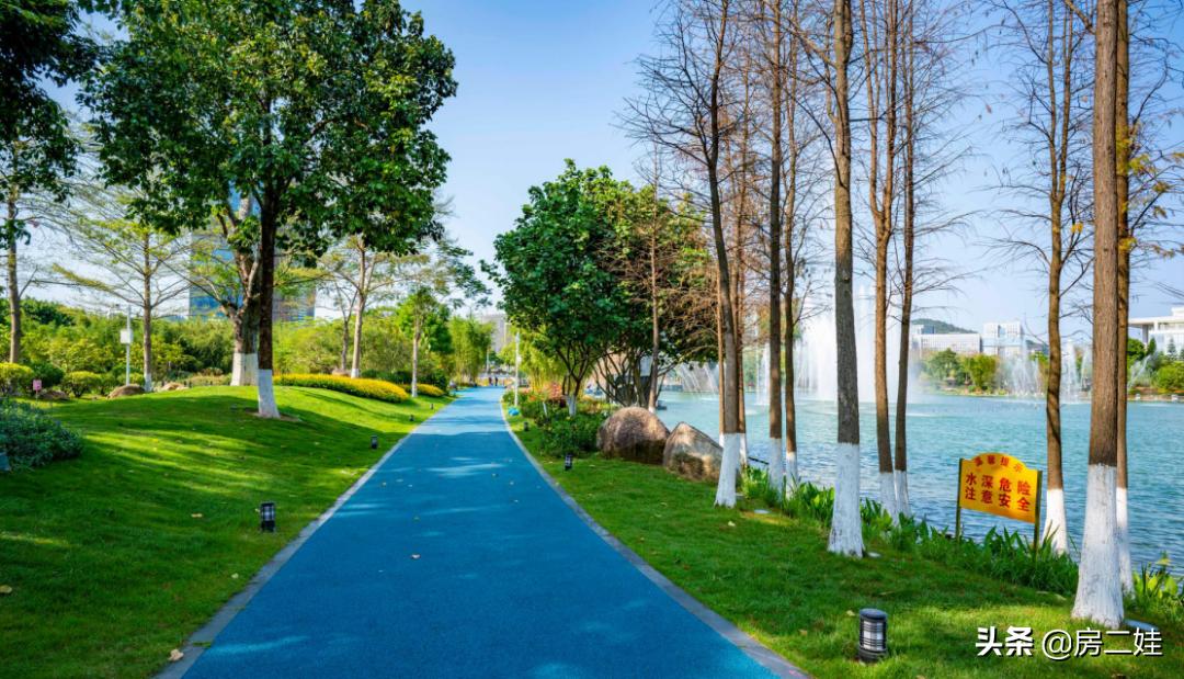 被宠幸的科学城，也有一个致命缺点