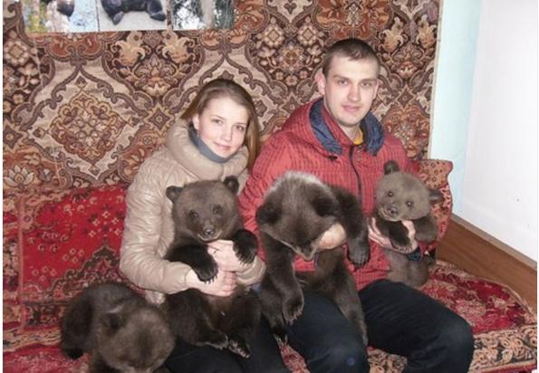 别惹我普京新传心得体会,别惹我普京新传完整版