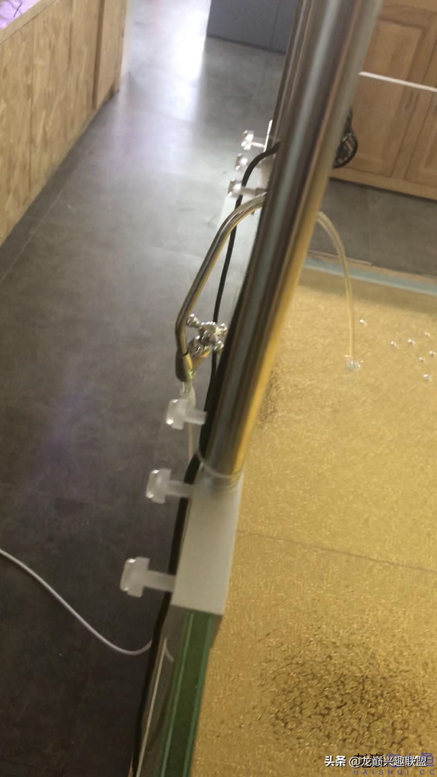 从零开始玩海缸的方法,从零开始玩海缸全过程