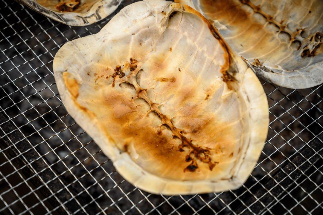 龟界百事通做的龟苓膏，煲前还要先玩火