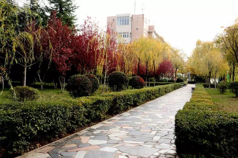 陕西职业技术学院最新通知,陕西省西安职业技术学院