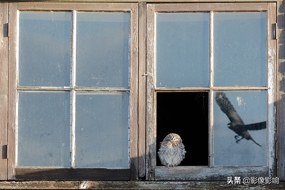 摄影金奖作品风景高清,风光摄影得奖照片