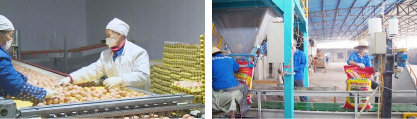 湖北双港农业科技贸易股份有限公司董事长李德胜