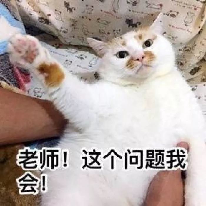 猫咪突然睡在猫砂盆里是什么情况,猫咪突然不在猫砂里尿了怎么回事