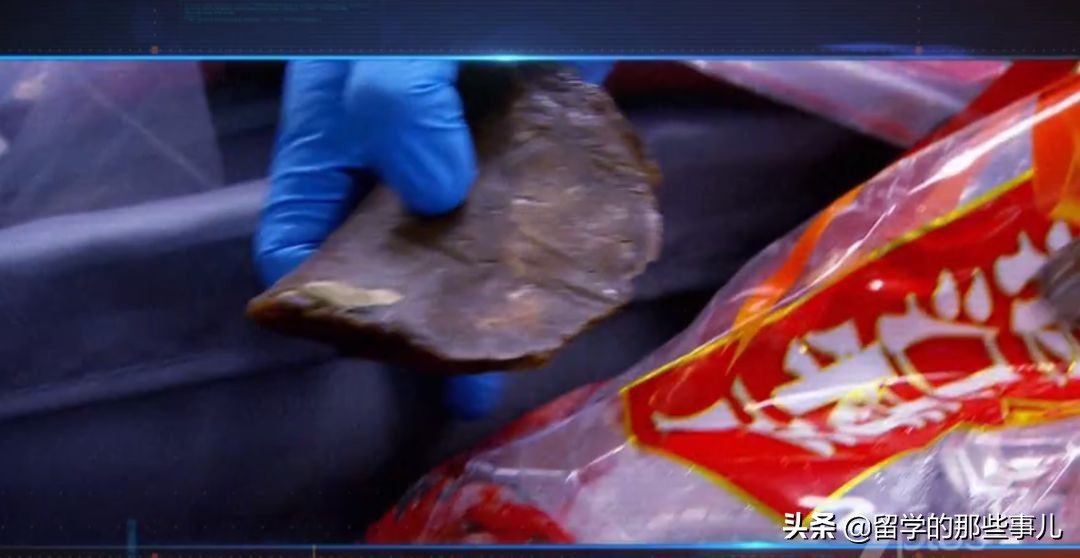 澳洲禁止入境物品最新规定,入境澳洲哪些东西能带哪些是禁带