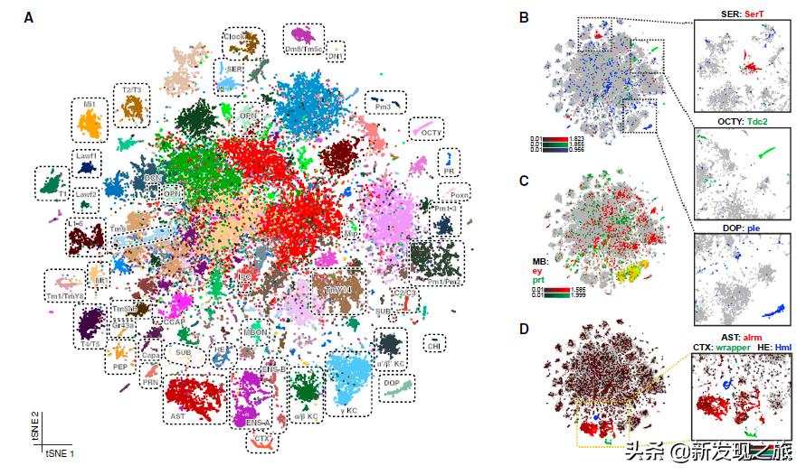 世上真的有长生不老液吗,世界上真的有长生不老仙丹