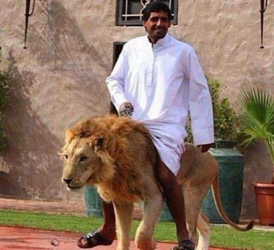 阿联酋人口gdp,阿联酋GDP总量