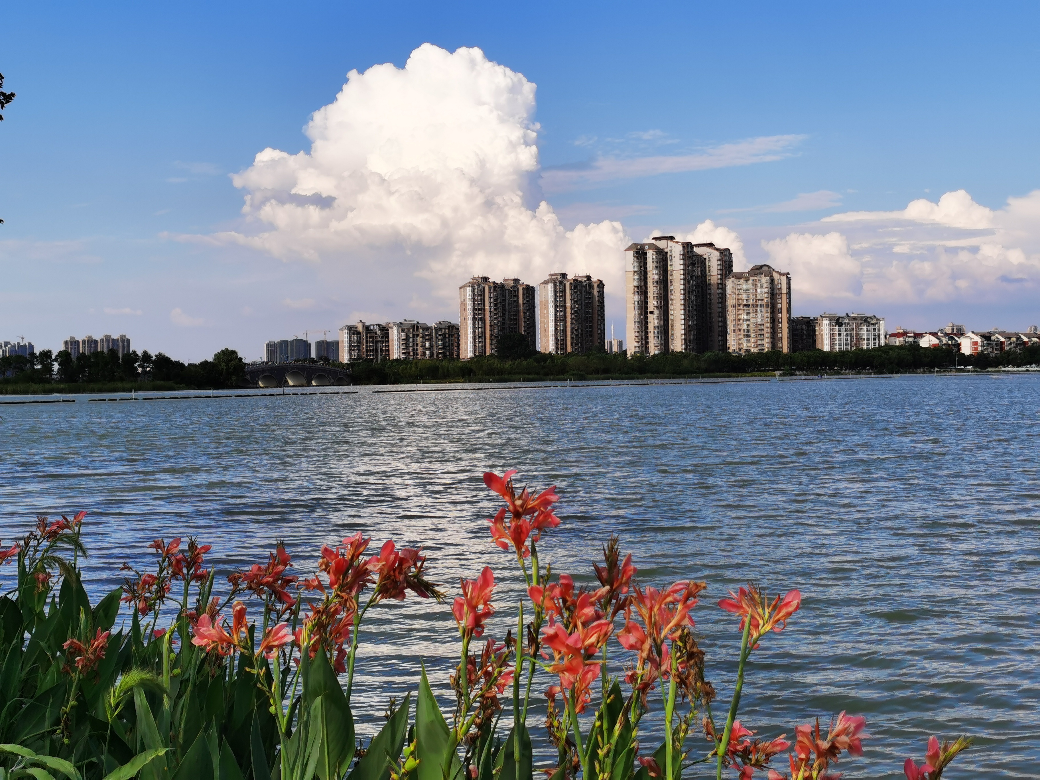 沉睡的历史与惊艳的现实——走读东西湖