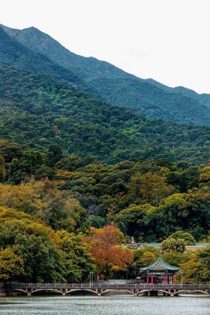 惠州适合亲子游的宝藏胜地,惠州宝藏打卡地