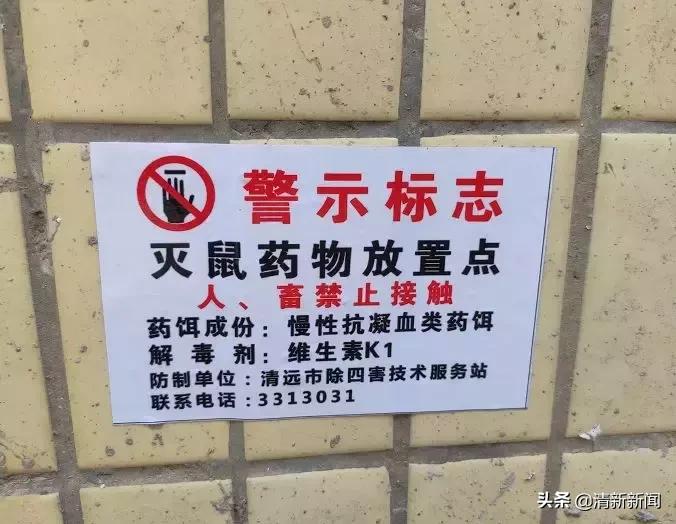 家里老鼠多有什么吓老鼠的神器,防止家里老鼠进屋