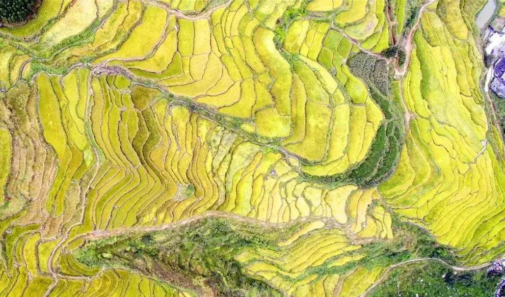 从1000米高处能看风景,从五百米高空看地面什么感觉