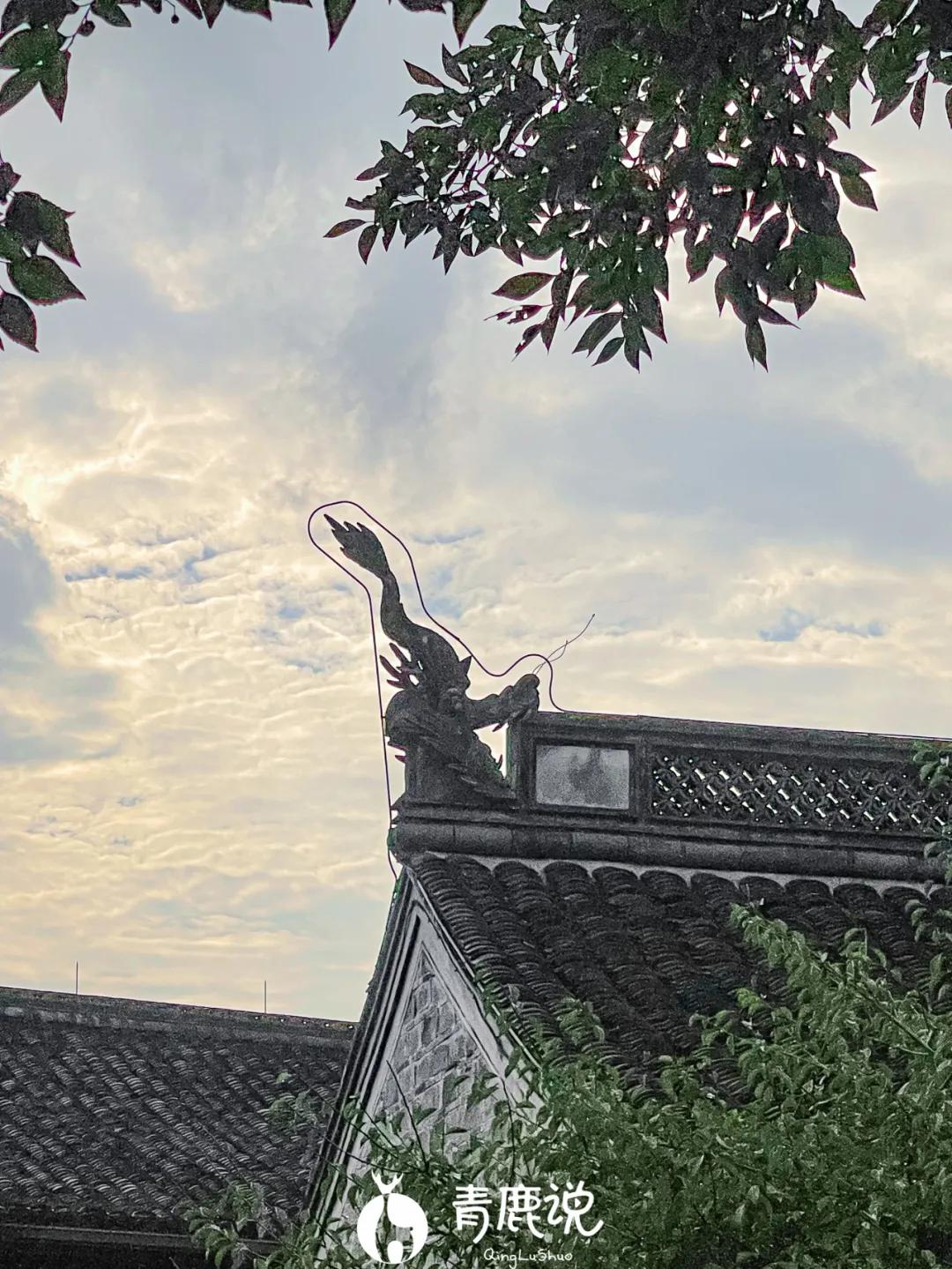 逛吃南塘老街尝遍甬城老底子味道,逛宁波南塘老街感想