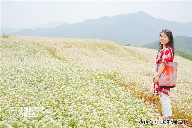 藏在秦岭深处的世外秘境,藏在西安秦岭里的桃源秘境