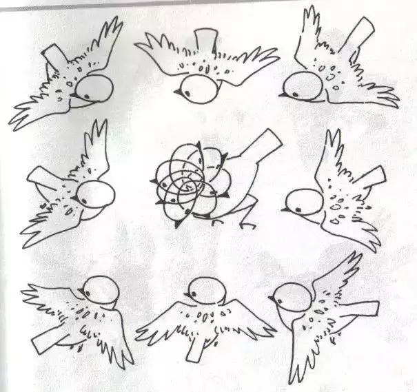 写意花鸟配景石的画法,干货写意花鸟类的画法