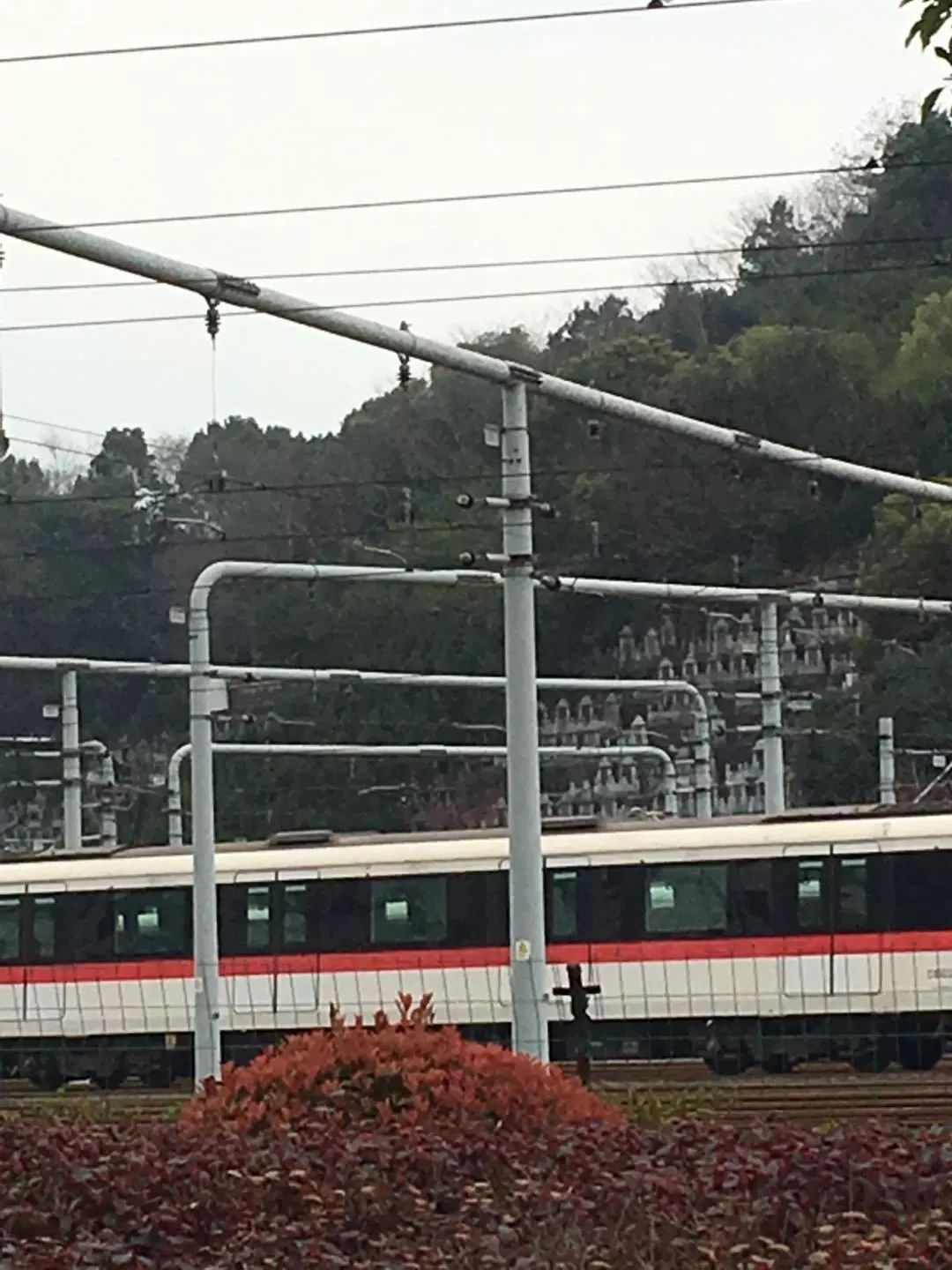 悦虹湾值不值得买,悦虹湾降价