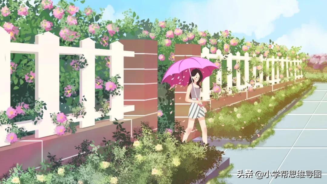 五年级下册语文写读后感秘密花园,秘密花园的阅读感悟100字