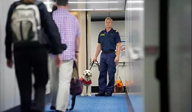 带感冒药入境,带感冒药出国被抓