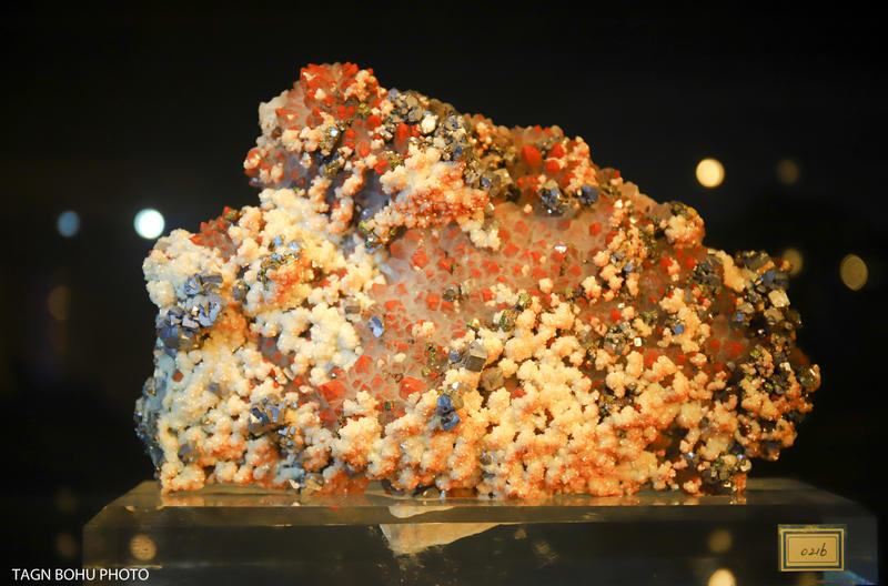 衢州飞越丛林探险乐园,浙江衢州深山