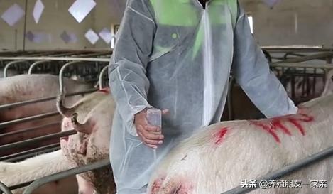 输精管堵不通畅能治疗吗,精子倒流导致不舒服