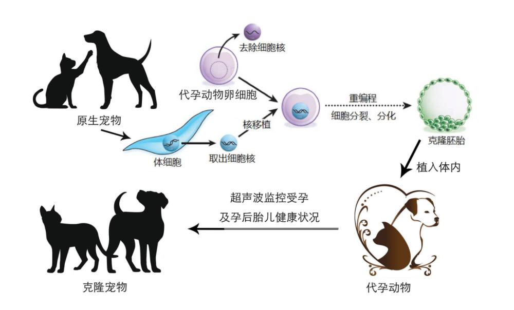 为什么鱼可以在体外受精，而人类则是在体内受精呢？