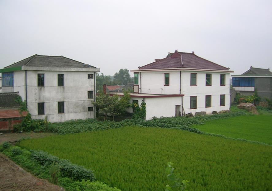 龙长虎短千金不换是什么意思,龙长虎短好还是龙短虎长好