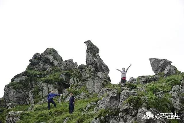 探秘汉中,汉中一村子窜入野生羚牛