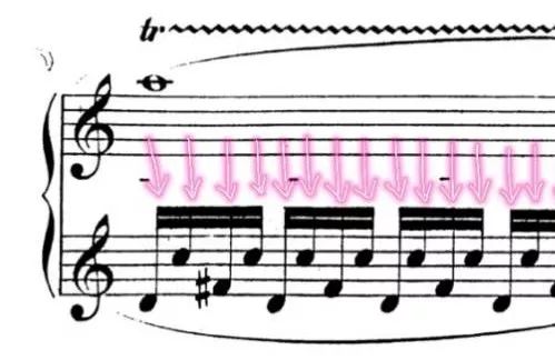 音乐中常见的装饰音有,装饰音和常用记号视频讲解