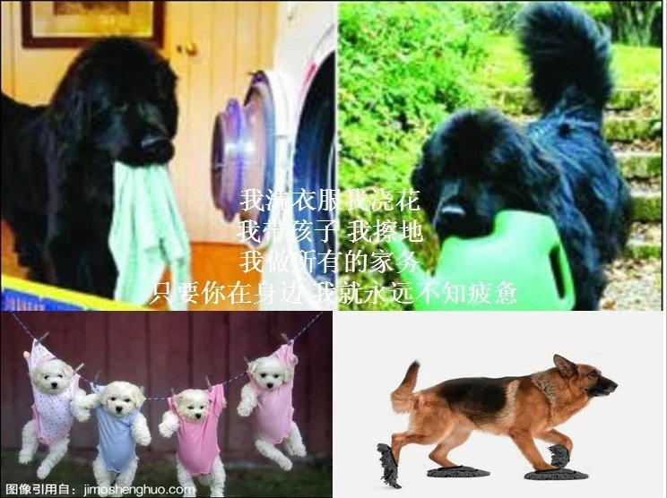 我只想说声爱你,只想再爱你一次