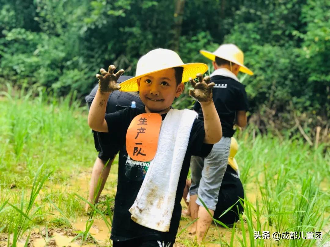 土地四季·禾下乘凉丨给孩子的大地课堂,在自然中自然生长