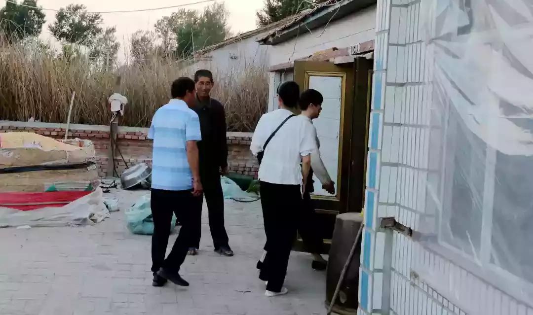 奈曼三花猫,奈曼三金