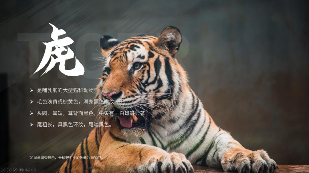 适合做ppt背景的高清大图教学,如何做一个漂亮的ppt背景