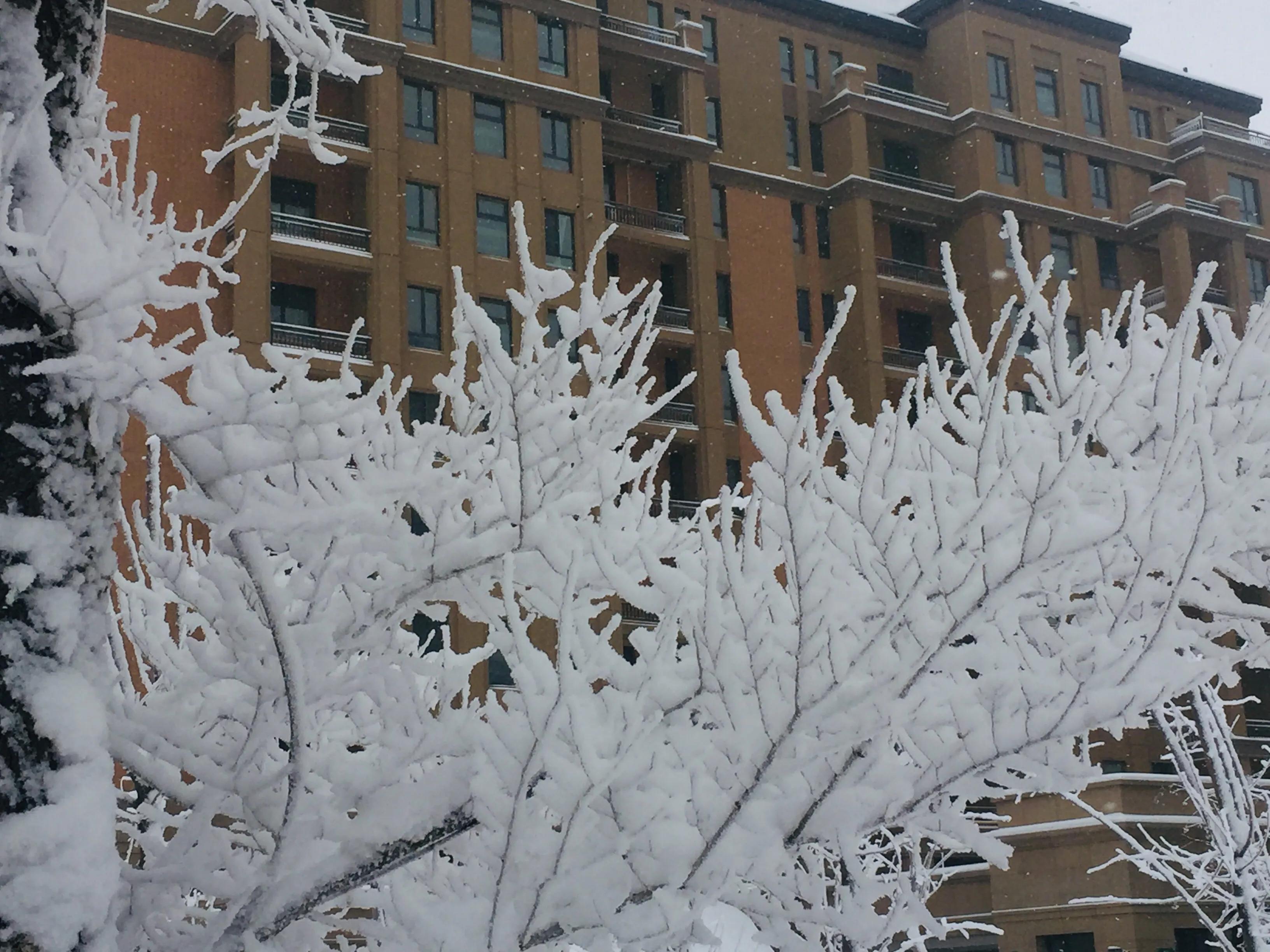 六年前，我被凡尔赛狠狠地撞了一下腰