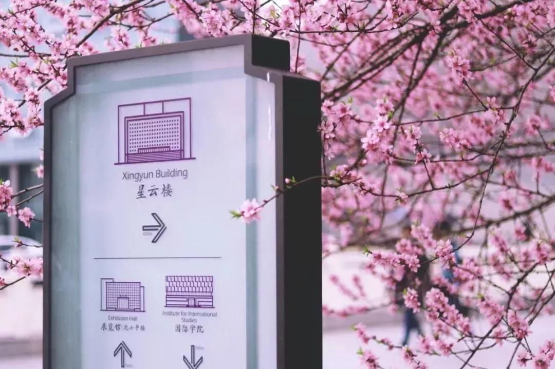 江苏一高校,江苏省四大高校