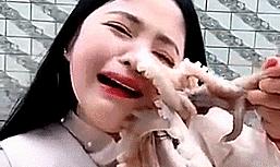 女主播表演吃活章鱼反被咬完整版,生吃章鱼被章鱼反杀的女主播