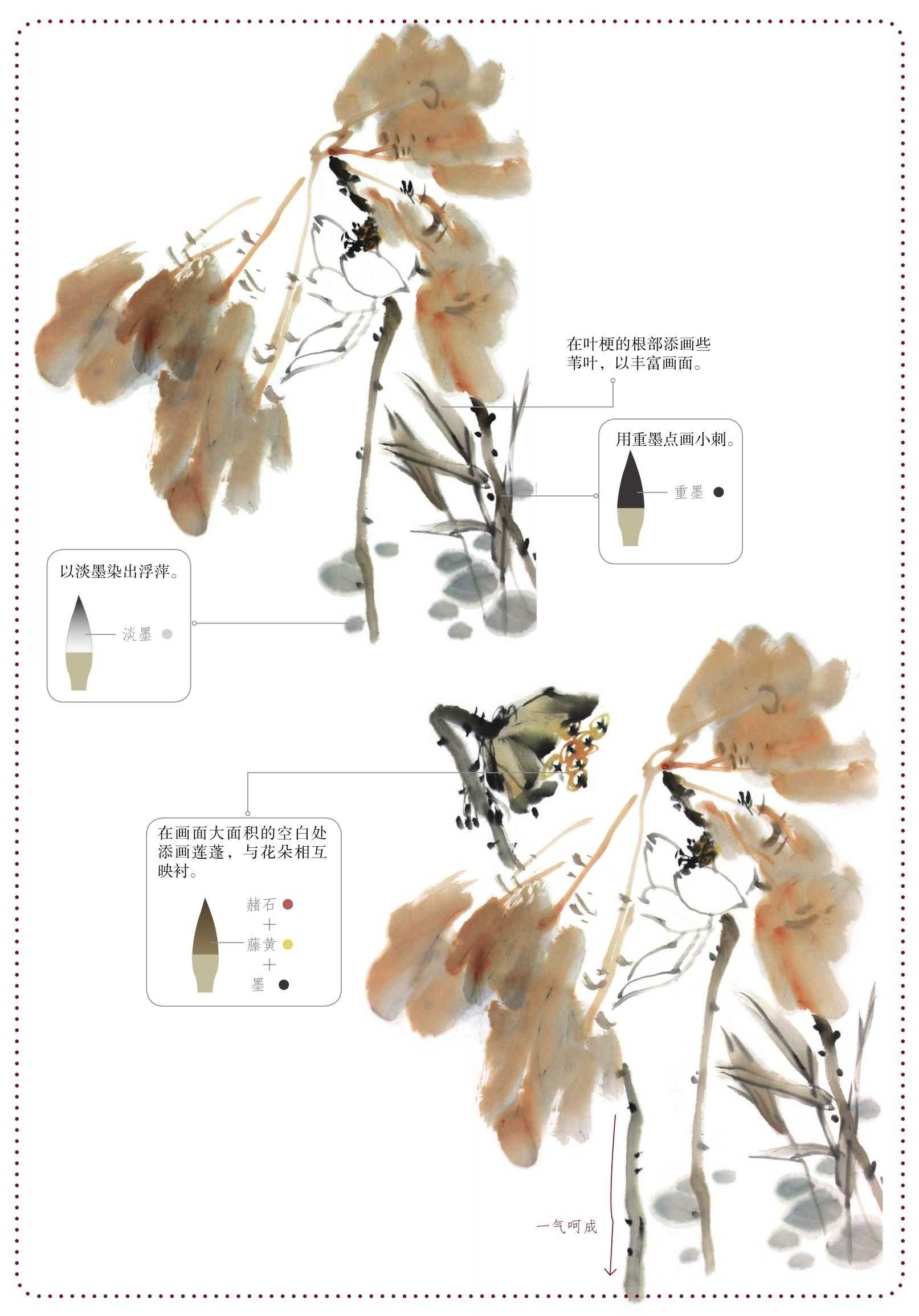 荷花荷叶组合画法,荷花组合教程完整版