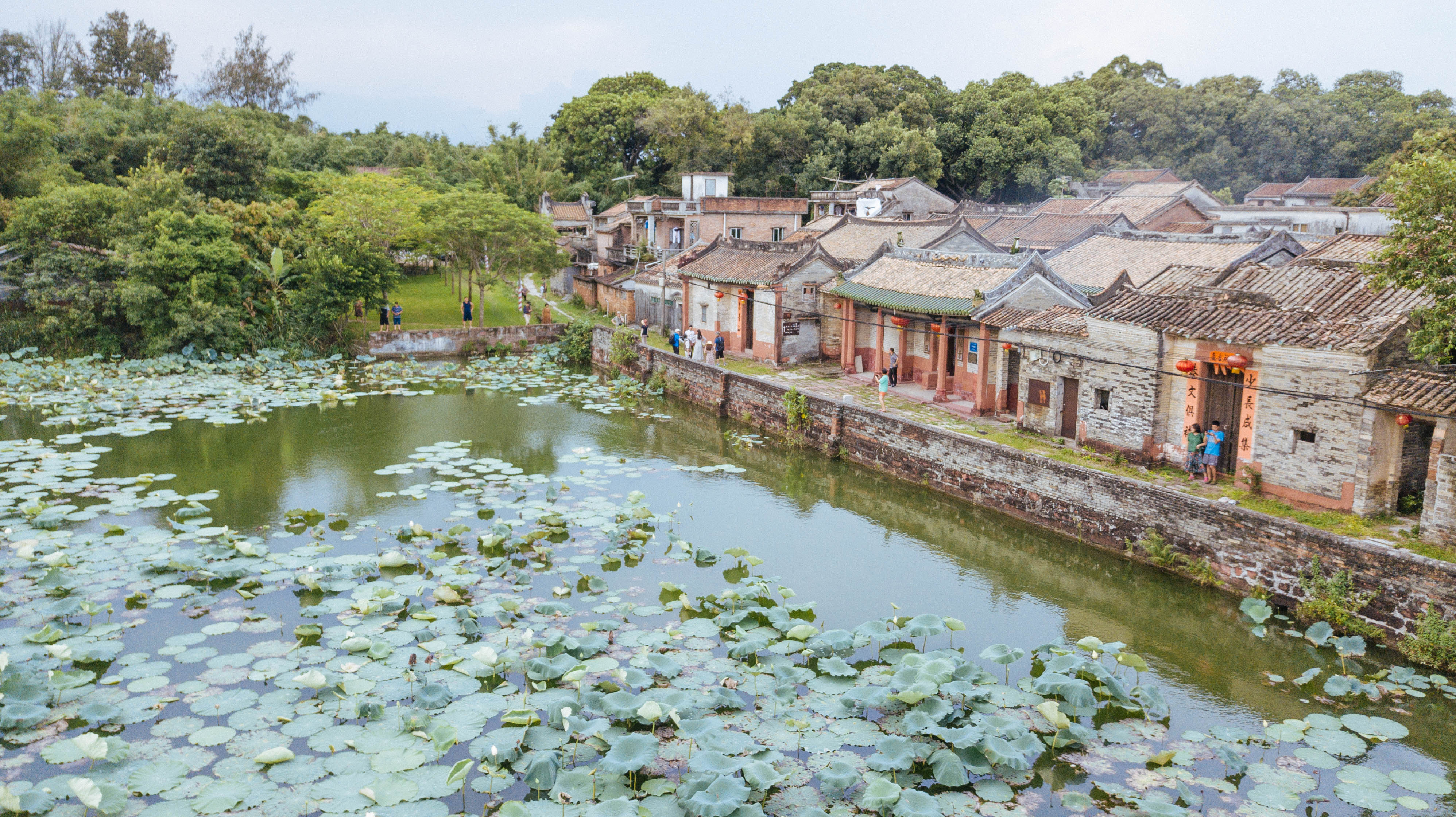樟木头有什么好的酒店,樟木头哪间酒店环境好