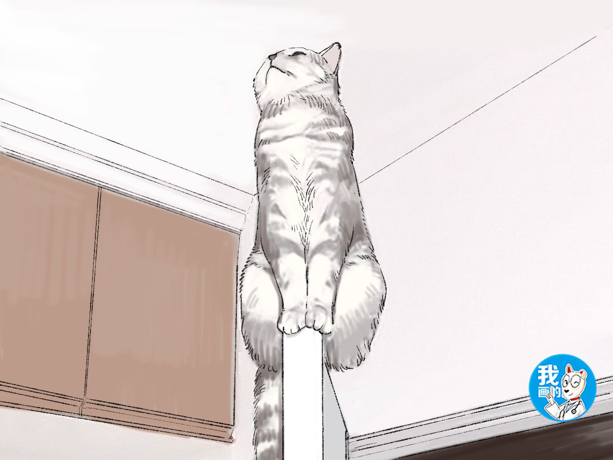 半夜睡下后总觉得空中有团黑影，打开灯后四目相对：有事吗？