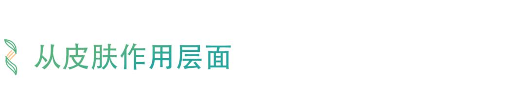 最新款射频美容仪,最好用的家用射频美容仪器