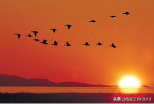 人间词话：金气秋分，风清露冷秋期半