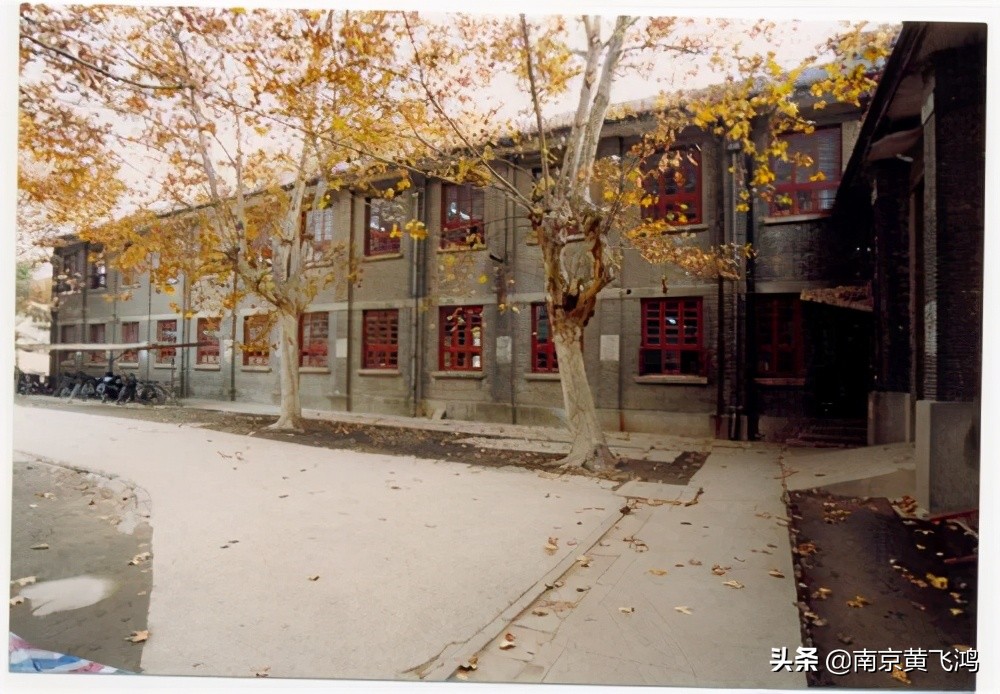 我的快乐童年一年级,快乐的童年美丽的小学校园生活