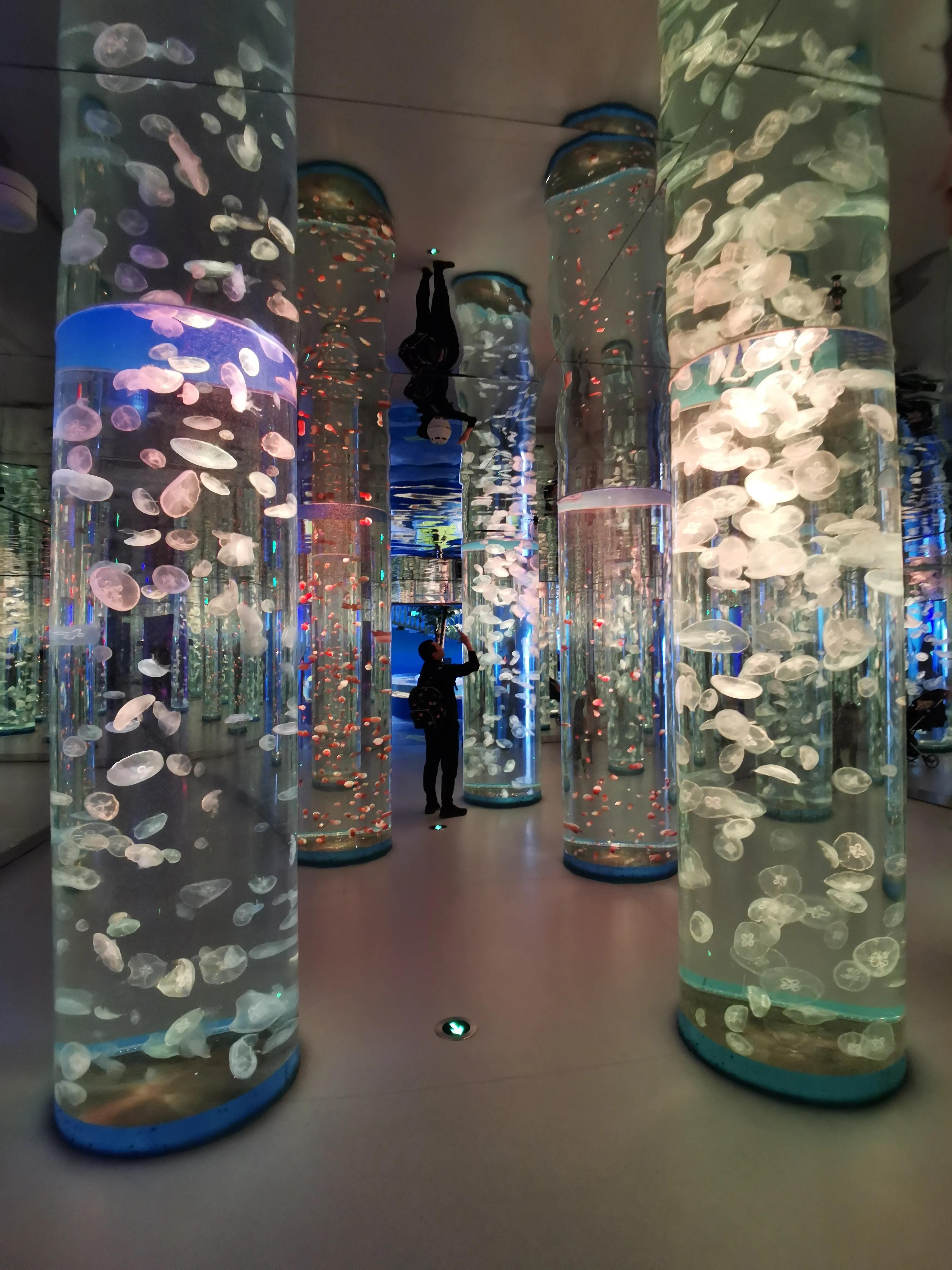 璧拌繘娴锋磱鍔ㄧ墿娴峰簳涓栫晫,鍙傝娴峰簳涓栫晫娴锋磱鍔ㄧ墿瑙嗛