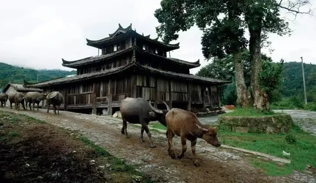 户撒佛祖的后花园现在怎么走,户撒为什么叫佛祖后花园