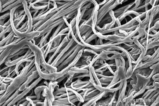 静电纺丝制备纳米纤维步骤,静电纺丝制备纳米纤维气凝胶过程