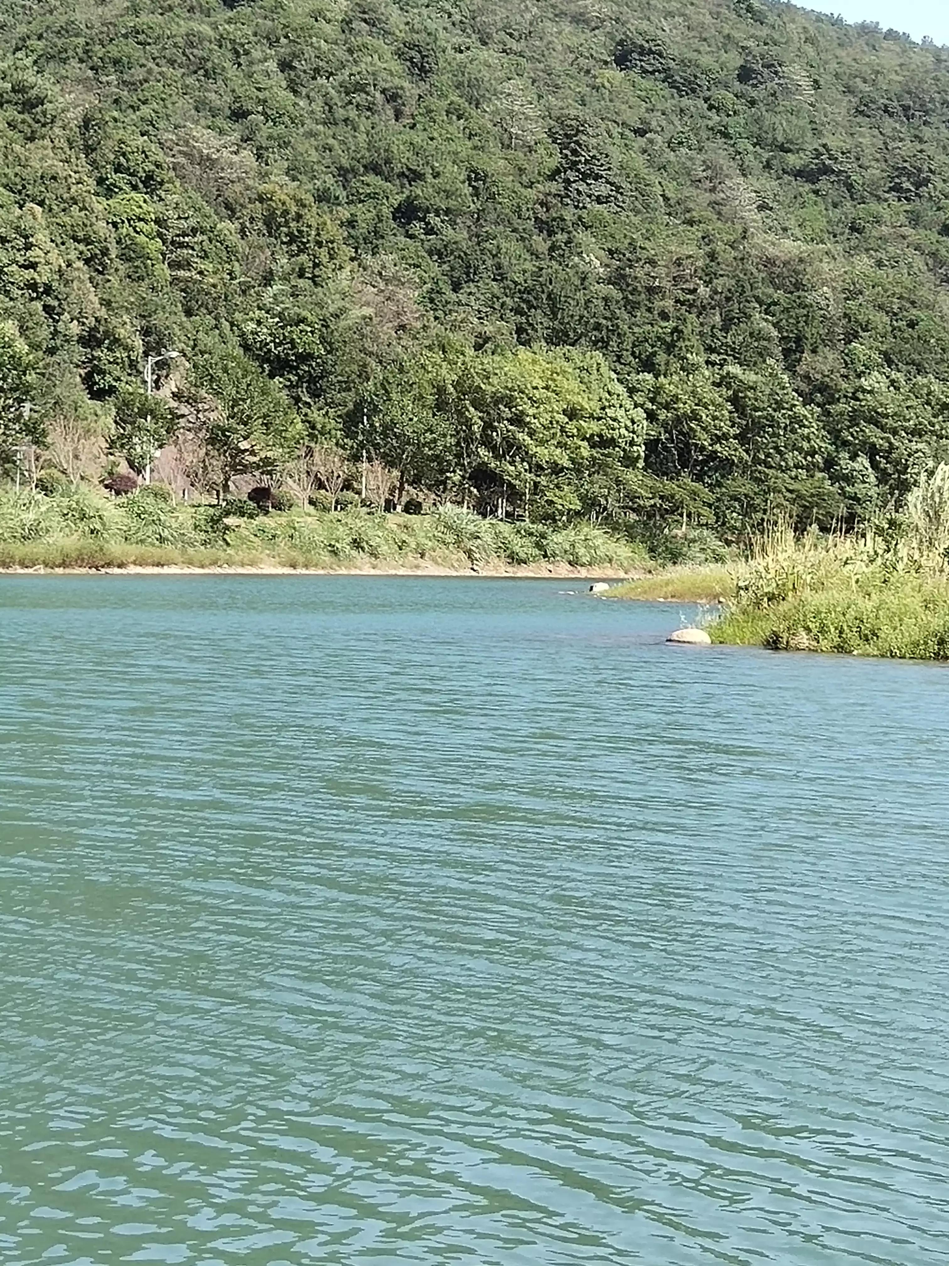 宁波镇海钓鱼野钓最新地点,宁波九龙湖水库钓鱼攻略
